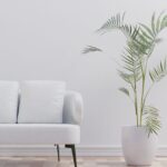 contemporary-furniture-guide-for-bangsar-kuala-lumpur-homes-stanzo-collection-im-150x150 Contemporary Furniture Guide for Bangsar, Kuala Lumpur Homes – Stanzo Collection Home Furniture 