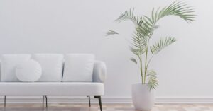 contemporary-furniture-guide-for-bangsar-kuala-lumpur-homes-stanzo-collection-im-300x157 Contemporary Furniture Guide for Bangsar, Kuala Lumpur Homes – Stanzo Collection Best of Malaysia stanzocollection.my 