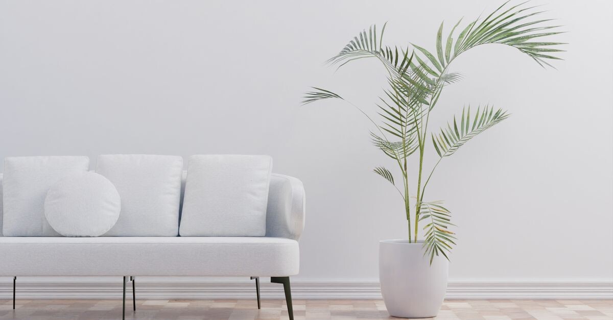 contemporary-furniture-guide-for-bangsar-kuala-lumpur-homes-stanzo-collection-im Contemporary Furniture Guide for Bangsar, Kuala Lumpur Homes – Stanzo Collection Home Furniture 
